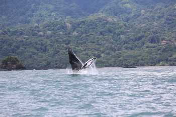 Bahia Aventuras Combo Tour